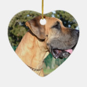 Fantastische Daanfotoversieringen Keramisch Ornament (Achterkant)