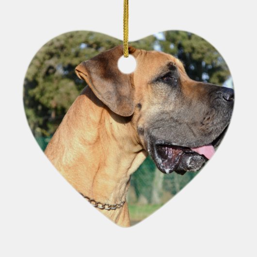 Fantastische Daanfotoversieringen Keramisch Ornament (Achterkant)