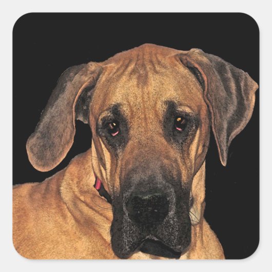 Fantastische Dane Dog-stickers Vierkante Sticker (Voorkant)