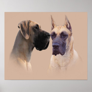 Fantastische Dane King of Dogs Print