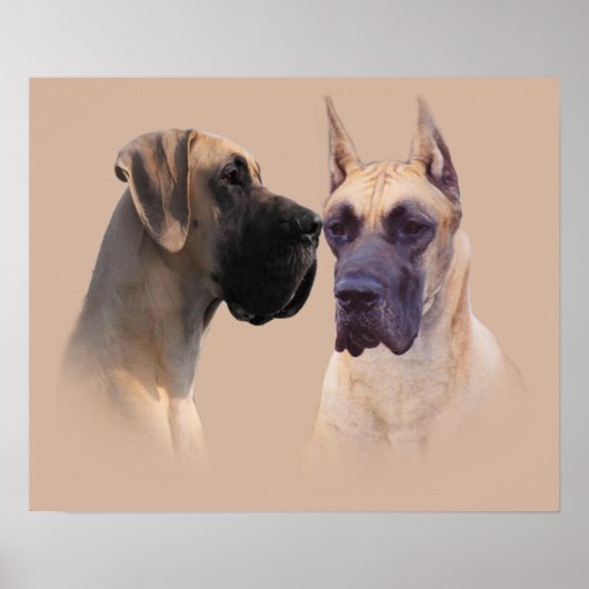 Fantastische Dane King of Dogs Print (Voorkant)
