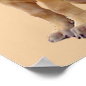 Fantastische Dane King of Dogs Print (Hoek)