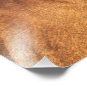 Fantastische foto's van Dane Gentle Foto Afdruk (Hoek)