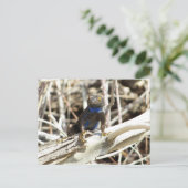 Fantastische hek bij Joshua-boom Briefkaart (Staand voorkant)