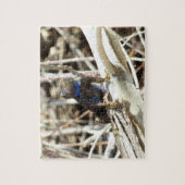 Fantastische hek bij Joshua-boom Legpuzzel (Verticaal)