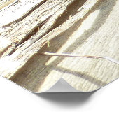 Fantastische hek bij Joshua-boom Poster (Hoek)