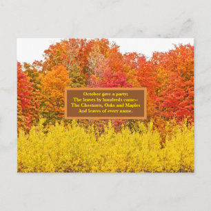 FANTASTISCHE HERFST / SINAASAPPEL, ROOD, GELE KLEU BRIEFKAART