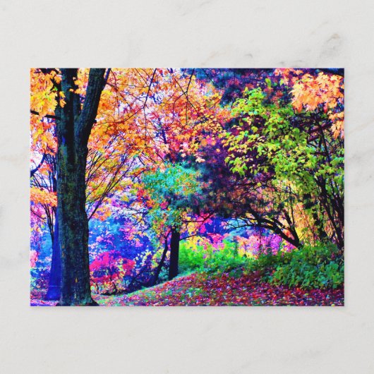 Fantastische herfstkleuren Herfstbladeren Bomen Sc Briefkaart (Voorkant)