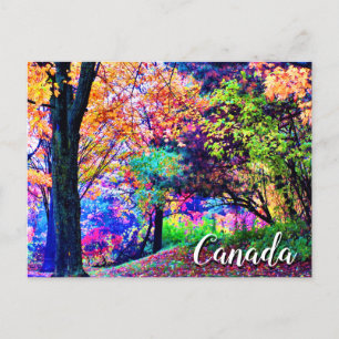 Fantastische herfstkleuren Herfstbladeren Bomen Sc Briefkaart