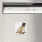 Fantastische krantenpup in Studio Magneet (Insitu (Vaatwasser))