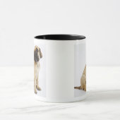 Fantastische krantenpup in Studio Mok (Midden)