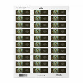 Fantastische Kute Pixie Vlinder Vleugels Etiket (Full Sheet)