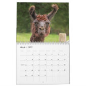 Fantastische landbouwhuisdieren kalender (Mar 2027)