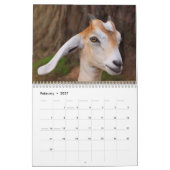 Fantastische landbouwhuisdieren kalender (Feb 2027)