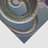 Fantastische mooie Medusa Flowers maakt ontkoppeli Tissuepapier (Detail)