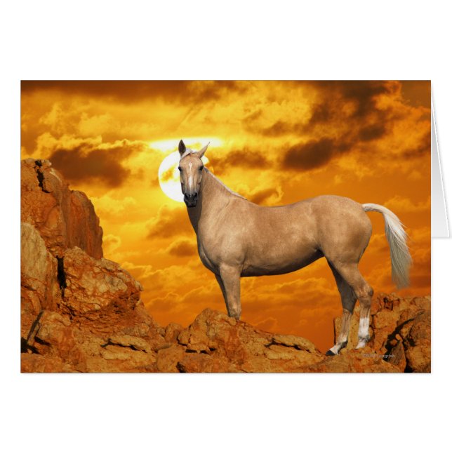 Fantastische paarden: Berg (Voorkant Horizontaal)