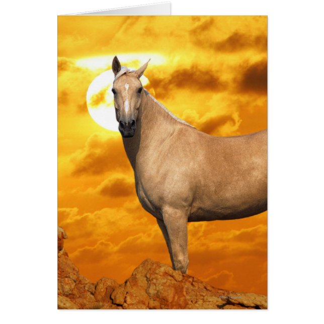 Fantastische paarden: Berg (Voorkant)