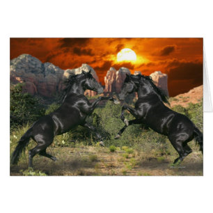 Fantastische paarden: Black Magic