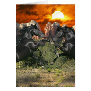 Fantastische paarden: Black Magic