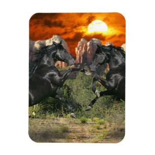 Fantastische paarden: Black Magic Magneet