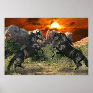 Fantastische paarden: Black Magic Poster