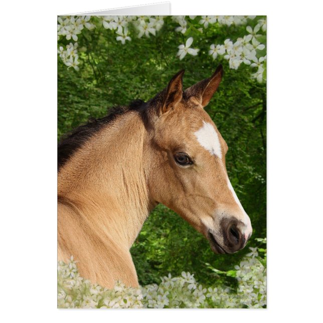 Fantastische paarden: Bloemen (Voorkant)