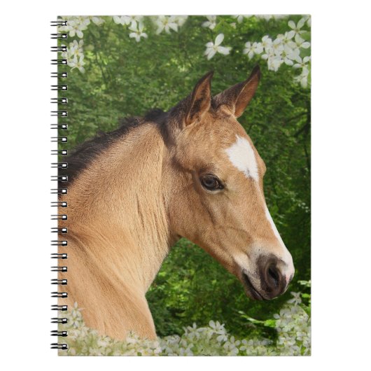 Fantastische paarden: Bloemen Notitieboek (Voorkant)