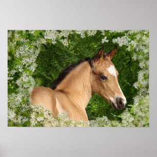 Fantastische paarden: Bloemen Poster