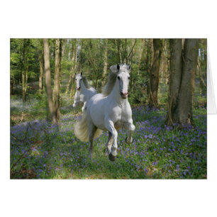 Fantastische paarden: Bluebell Wood