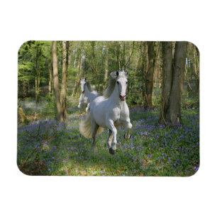Fantastische paarden: Bluebell Wood Magneet
