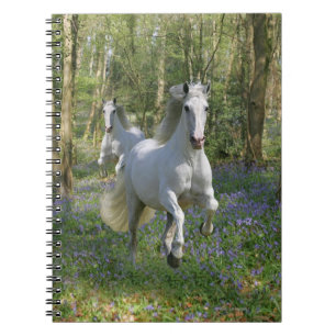 Fantastische paarden: Bluebell Wood Notitieboek