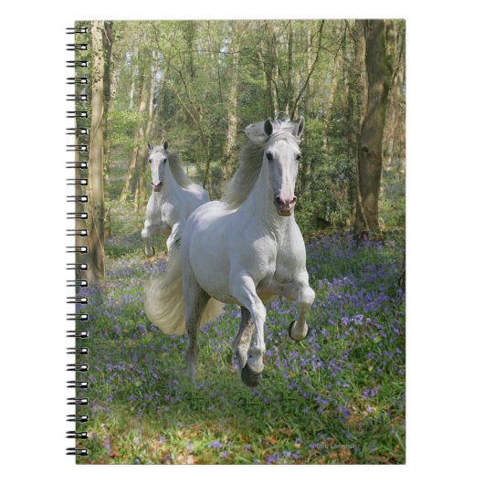 Fantastische paarden: Bluebell Wood Notitieboek (Voorkant)
