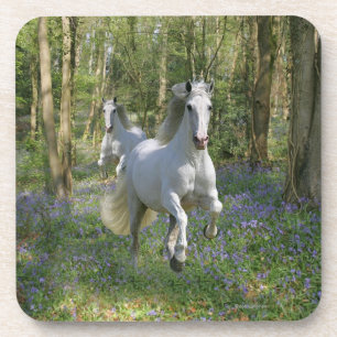 Fantastische paarden: Bluebell Wood Onderzetter