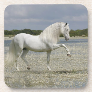 Fantastische paarden: Heer van het meer Drankjes Onderzetter