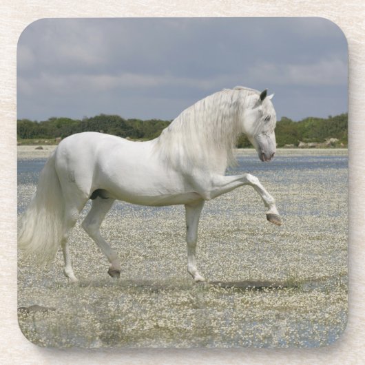 Fantastische paarden: Heer van het meer Drankjes Onderzetter (Voorkant)