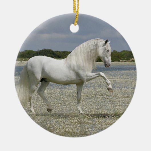 Fantastische paarden: Heer van het meer Keramisch Ornament (Voorkant)