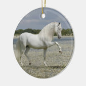 Fantastische paarden: Heer van het meer Keramisch Ornament (Links)