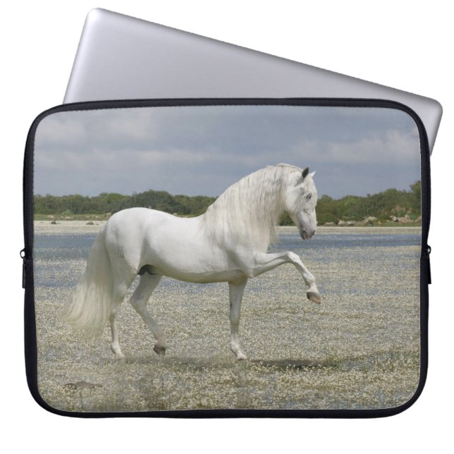 Fantastische paarden: Heer van het meer Laptop Sleeve (Voorkant)