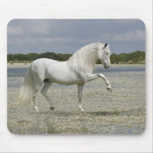 Fantastische paarden: Heer van het meer Muismat