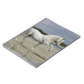 Fantastische paarden: Heer van het meer Notitieboek (Linkerzijde)