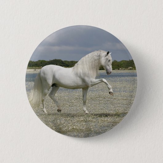 Fantastische paarden: Heer van het meer Ronde Button 5,7 Cm (Voorkant)