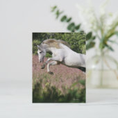 Fantastische paarden: lentekallop briefkaart (Staand voorkant)