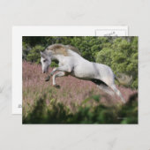 Fantastische paarden: lentekallop briefkaart (Voorkant / Achterkant)