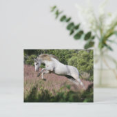 Fantastische paarden: lentekallop briefkaart (Staand voorkant)