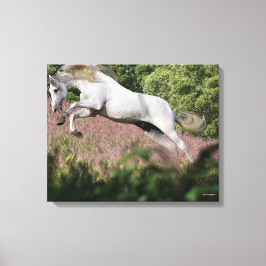 Fantastische paarden: lentekallop canvas afdruk (Voorkant)