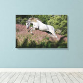 Fantastische paarden: lentekallop canvas afdruk (Insitu (Houten vloer))