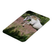 Fantastische paarden: lentekallop magneet (Linkerzijde)