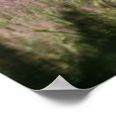 Fantastische paarden: lentekallop poster (Hoek)