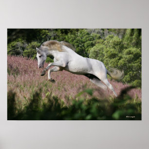 Fantastische paarden: lentekallop poster