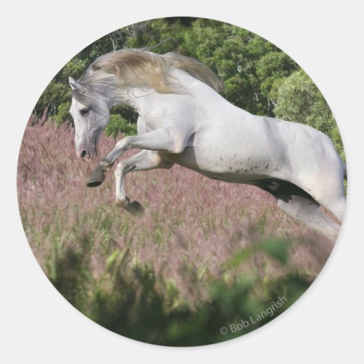 Fantastische paarden: lentekallop ronde sticker (Voorkant)